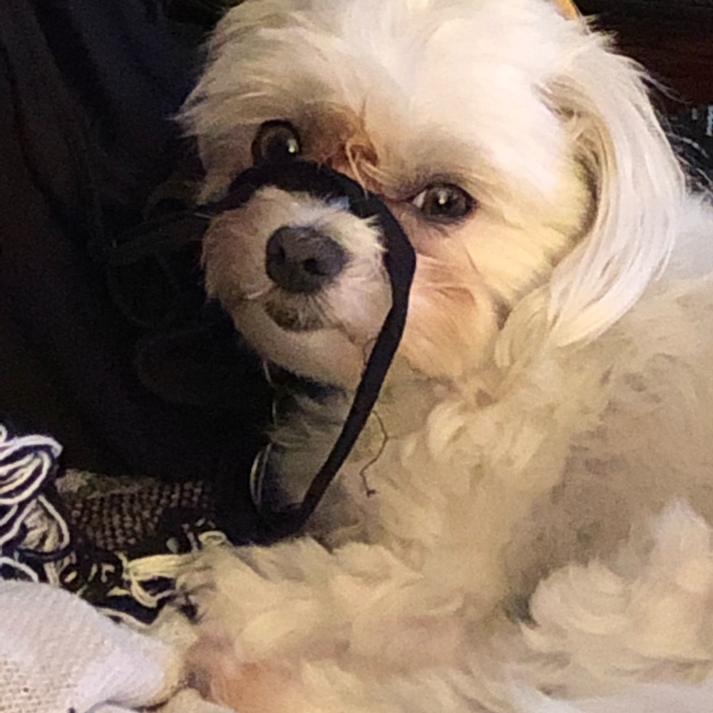 Meet your Posher, Patrice